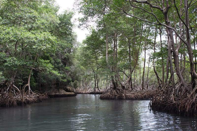 ai1000.photobucket.com_albums_af124_Apilif_Samana_202011_IMG_2627Copiar.jpg