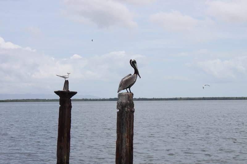 ai1000.photobucket.com_albums_af124_Apilif_Samana_202011_IMG_2717Copiar.jpg