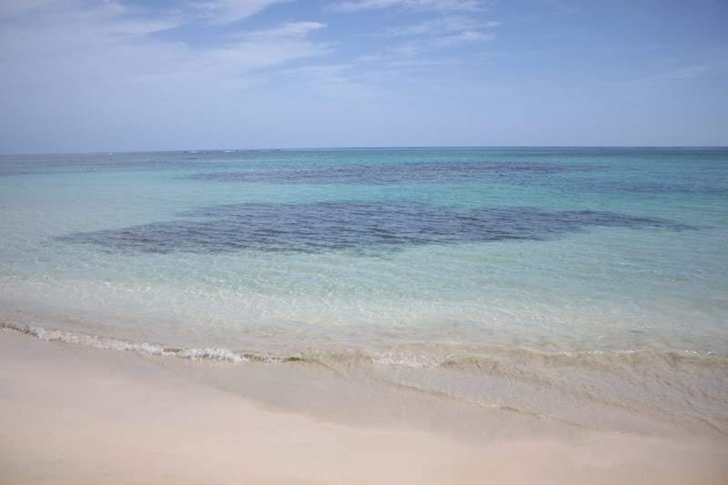 ai1000.photobucket.com_albums_af124_Apilif_Samana_202011_IMG_3037Copiar.jpg
