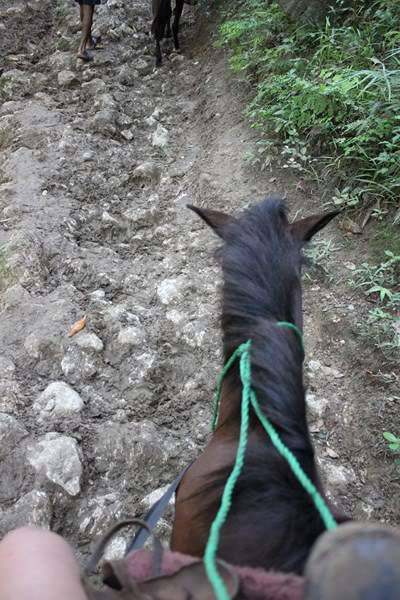 ai1000.photobucket.com_albums_af124_Apilif_Samana_202011_IMG_3291Copiar.jpg