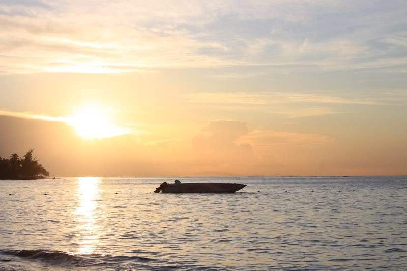 ai1000.photobucket.com_albums_af124_Apilif_Samana_202011_IMG_3879Copiar.jpg