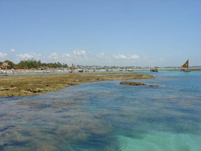 ai1004.photobucket.com_albums_af165_p_pacheco_recife005089.jpg