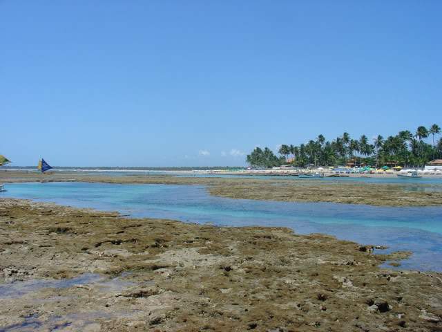 ai1004.photobucket.com_albums_af165_p_pacheco_recife005091.jpg
