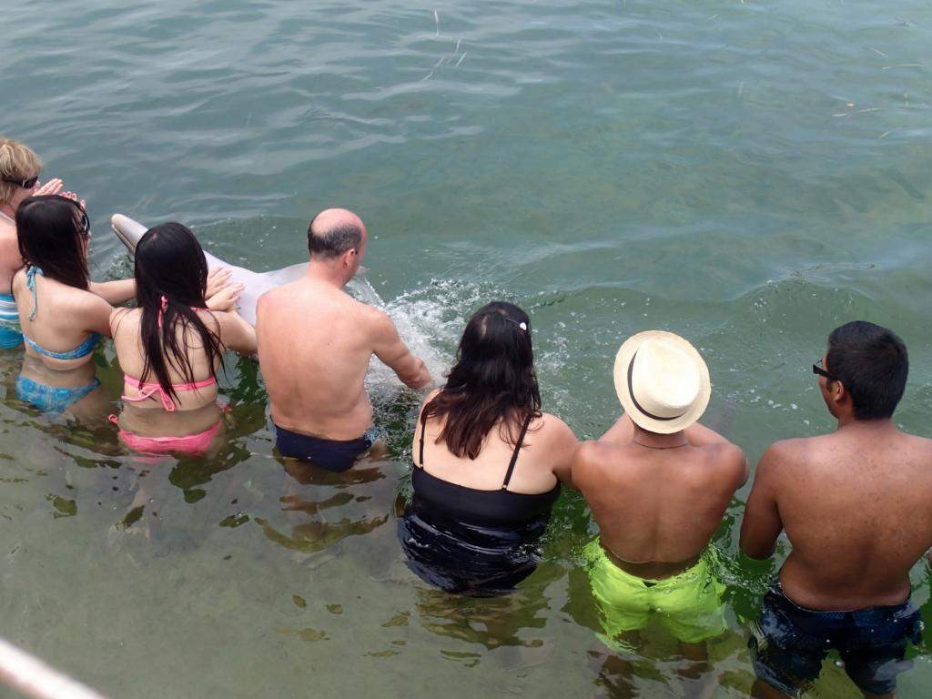 ai1006.photobucket.com_albums_af183_ajml28_Cuba_20Jun_202014_CubaR166_zps1c33d8be.jpg