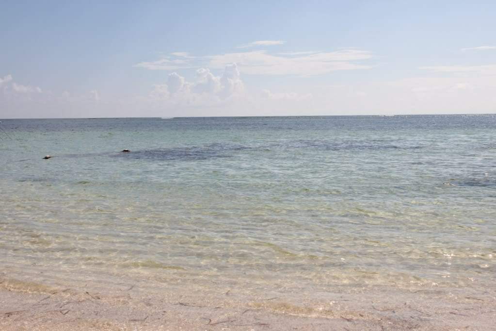 ai1006.photobucket.com_albums_af183_ajml28_R_20Dominicana_20Ju0596485d54f6ac8c2aa9ac72f476bb78.jpg