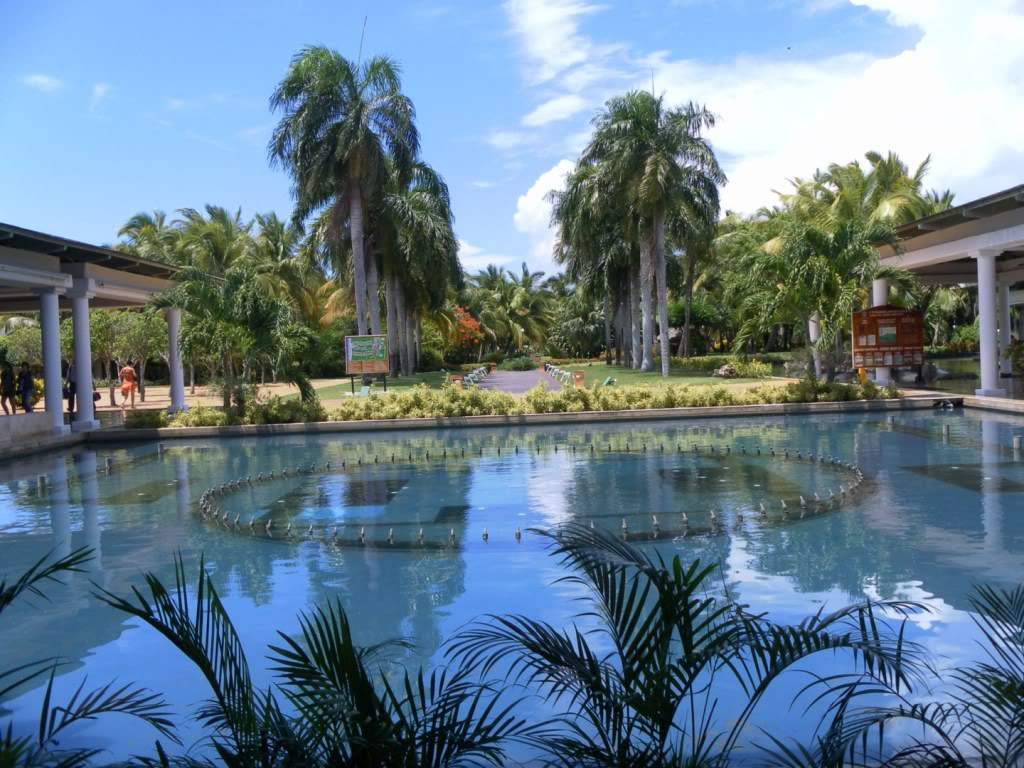 ai1006.photobucket.com_albums_af183_ajml28_R_20Dominicana_20Ju9819ac4b53514fab76169130fff51438.jpg