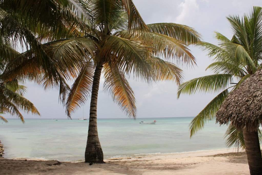 ai1006.photobucket.com_albums_af183_ajml28_R_20Dominicana_20Judfb5f9a6754c92a0008783aae1b80a95.jpg