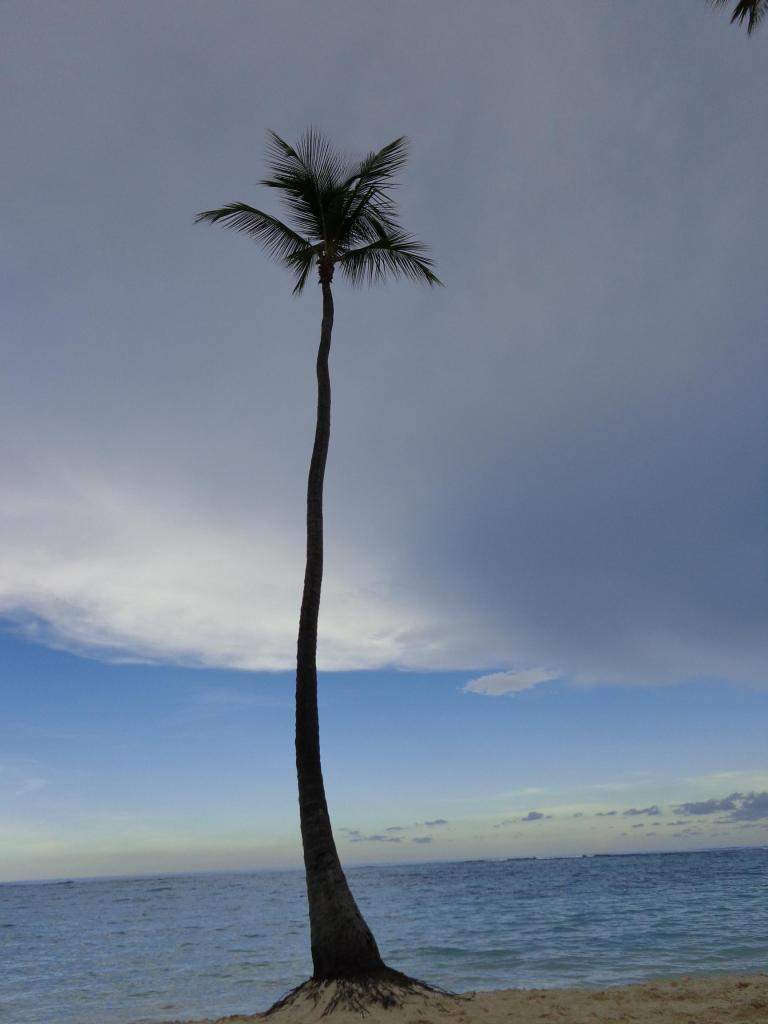 ai1011.photobucket.com_albums_af240_madeirense111_DSC00856_zpsc640d9c8.jpg