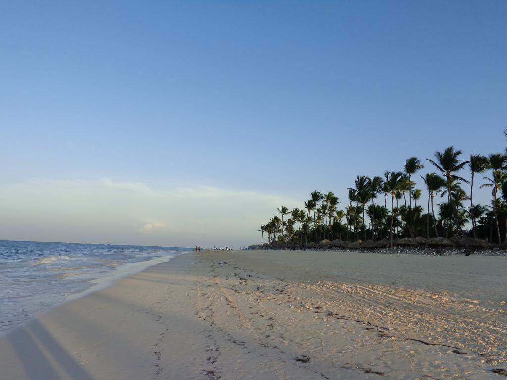 ai1011.photobucket.com_albums_af240_madeirense111_DSC01148_zps60fc3383.jpg