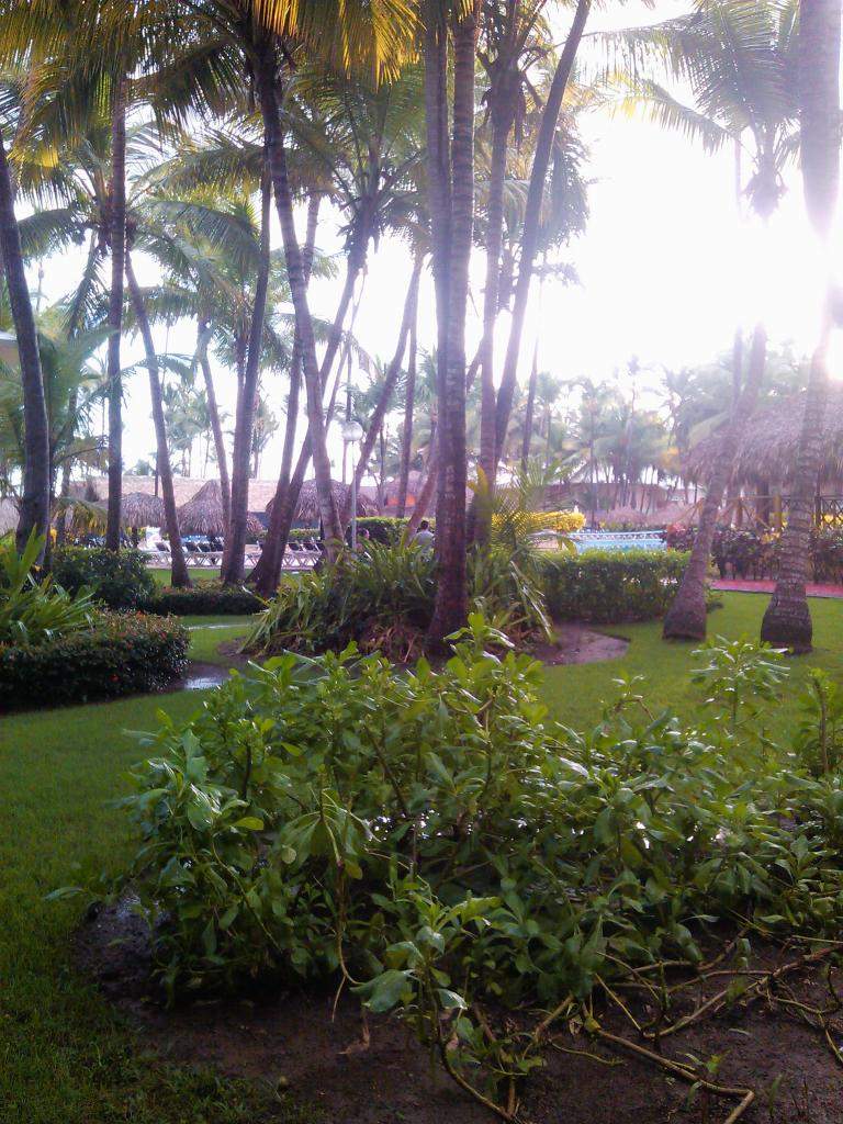 ai1011.photobucket.com_albums_af240_madeirense111_IMG_20130919_065523_zps2fdb0453.jpg