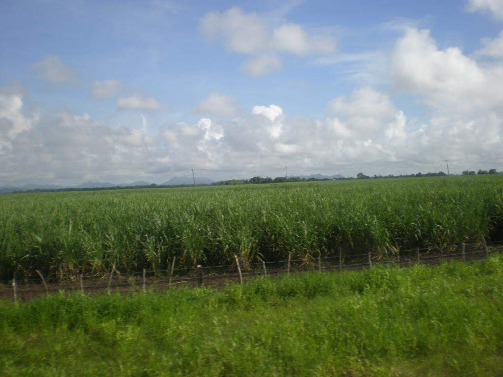 ai1011.photobucket.com_albums_af240_madeirense111_P9200634_zps17382bdb.jpg