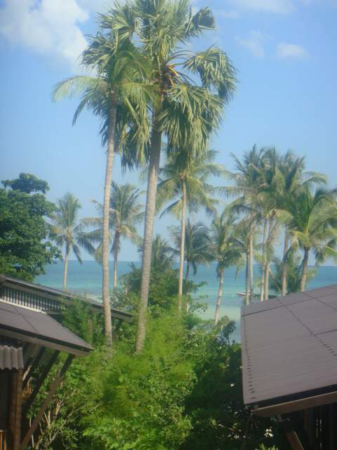 ai1012.photobucket.com_albums_af243_emar37_055.jpg