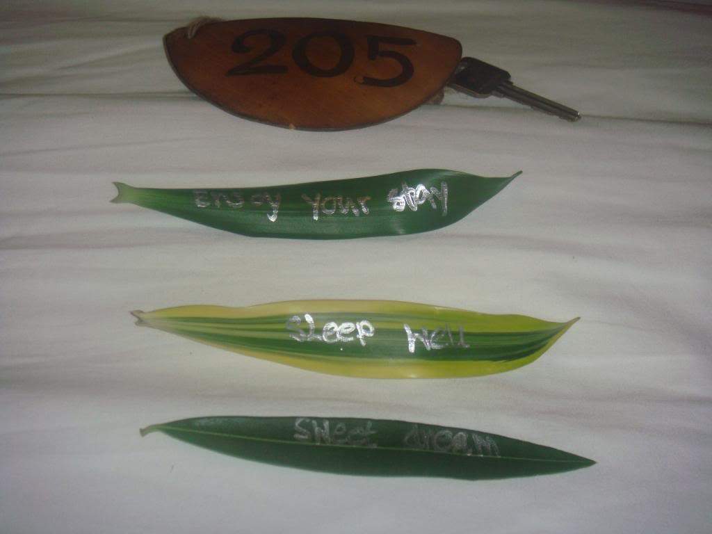 ai1012.photobucket.com_albums_af243_emar37_1265.jpg