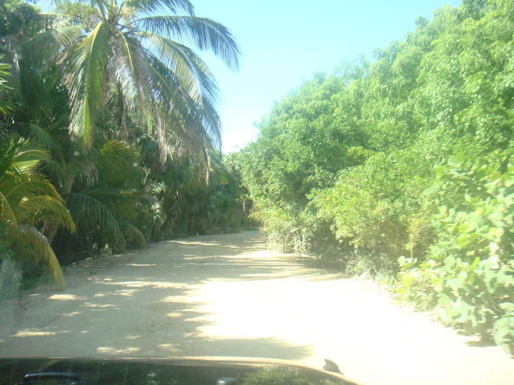 ai1012.photobucket.com_albums_af243_emar37_405.jpg