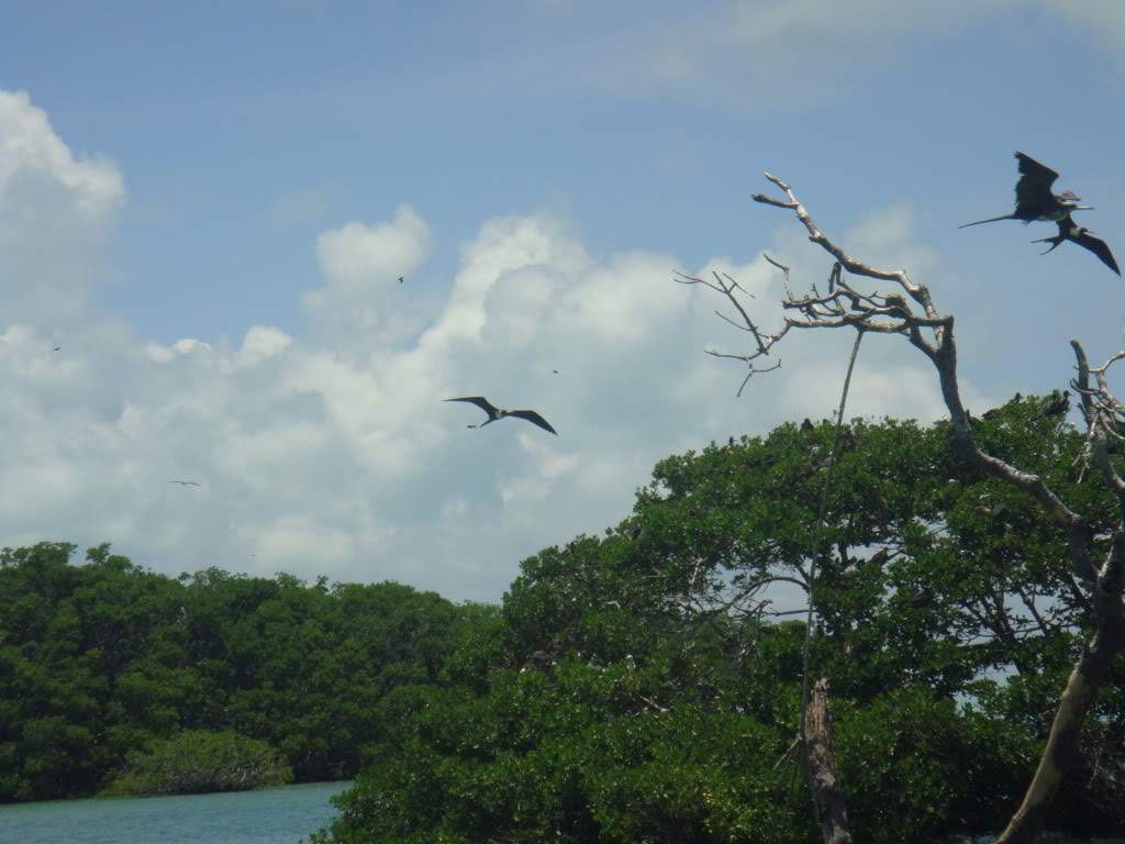 ai1012.photobucket.com_albums_af243_emar37_467.jpg