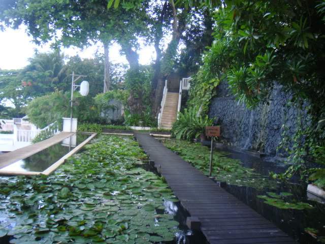 ai1012.photobucket.com_albums_af243_emar37_702.jpg