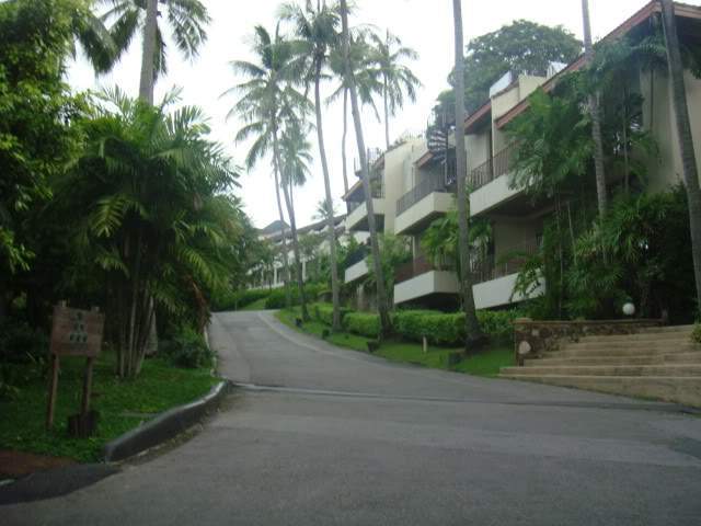 ai1012.photobucket.com_albums_af243_emar37_709.jpg