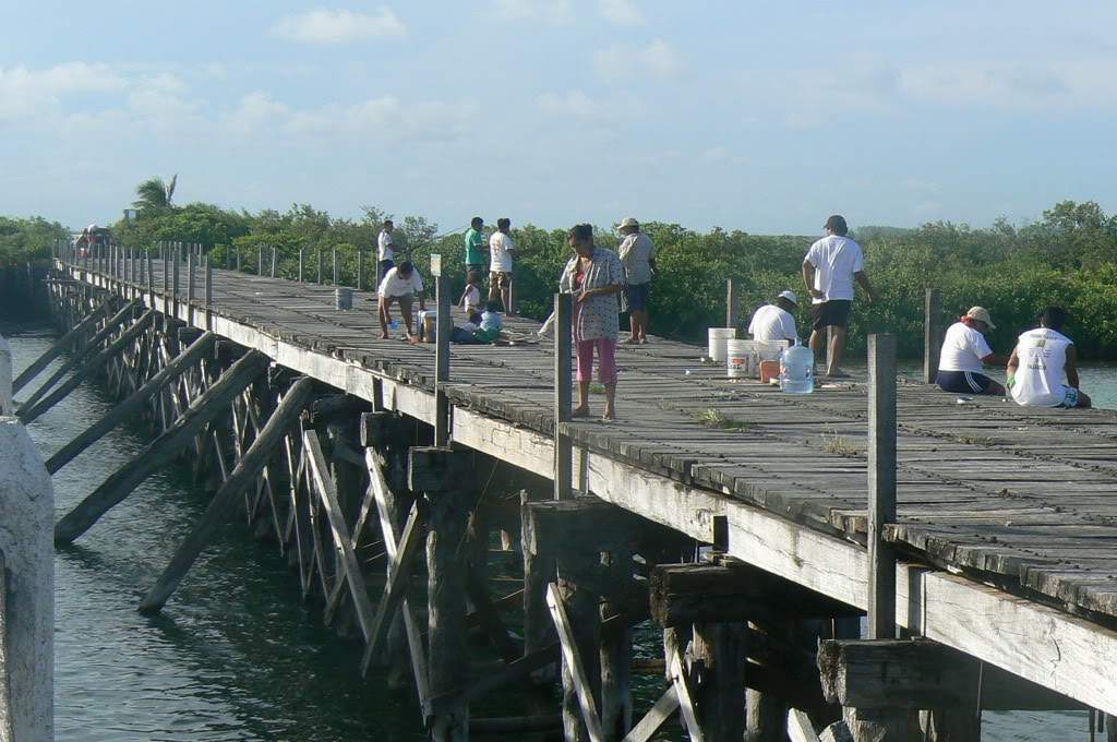 ai1012.photobucket.com_albums_af243_emar37_932.jpg
