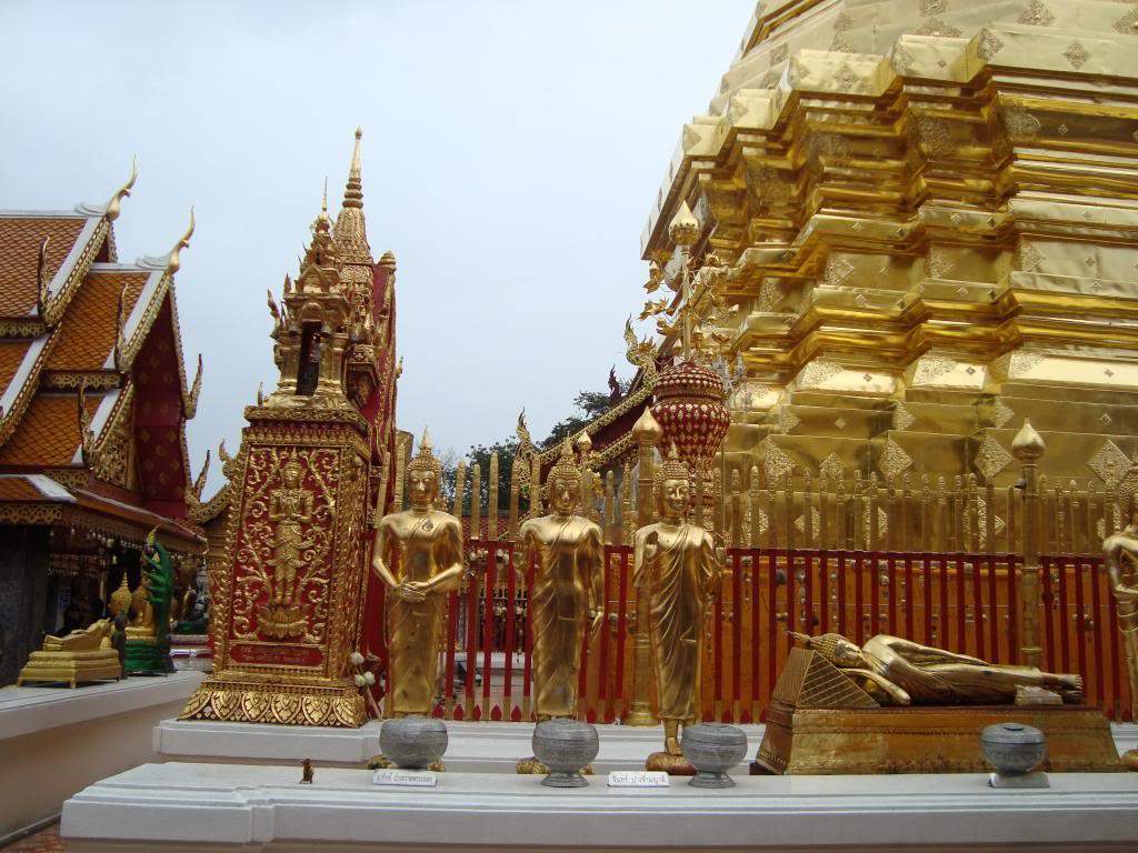 ai1012.photobucket.com_albums_af243_emar37_DSC05750.jpg