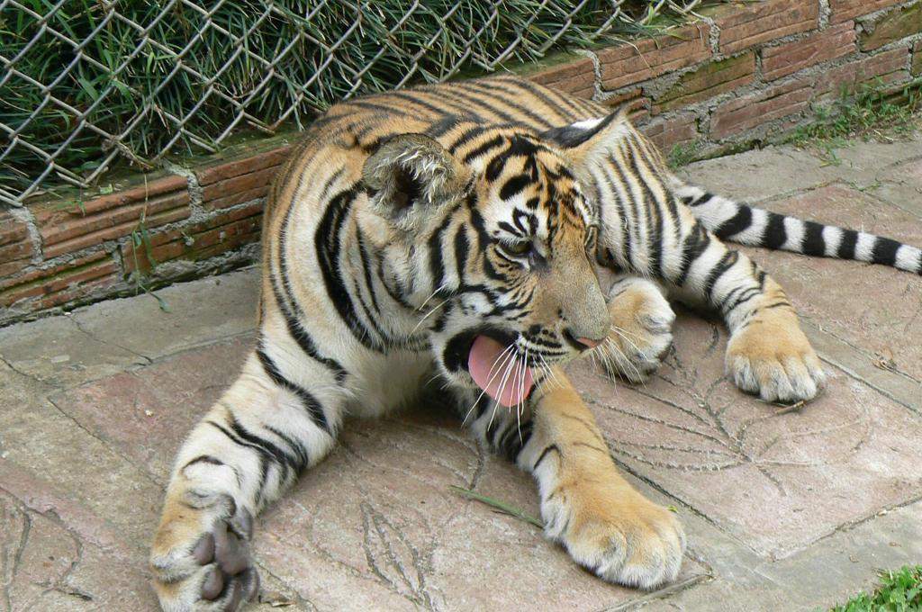 ai1012.photobucket.com_albums_af243_emar37_Facebook_Pas_20dos_a1bf1f3987b7a2b9dd975988b53b27c1.jpg
