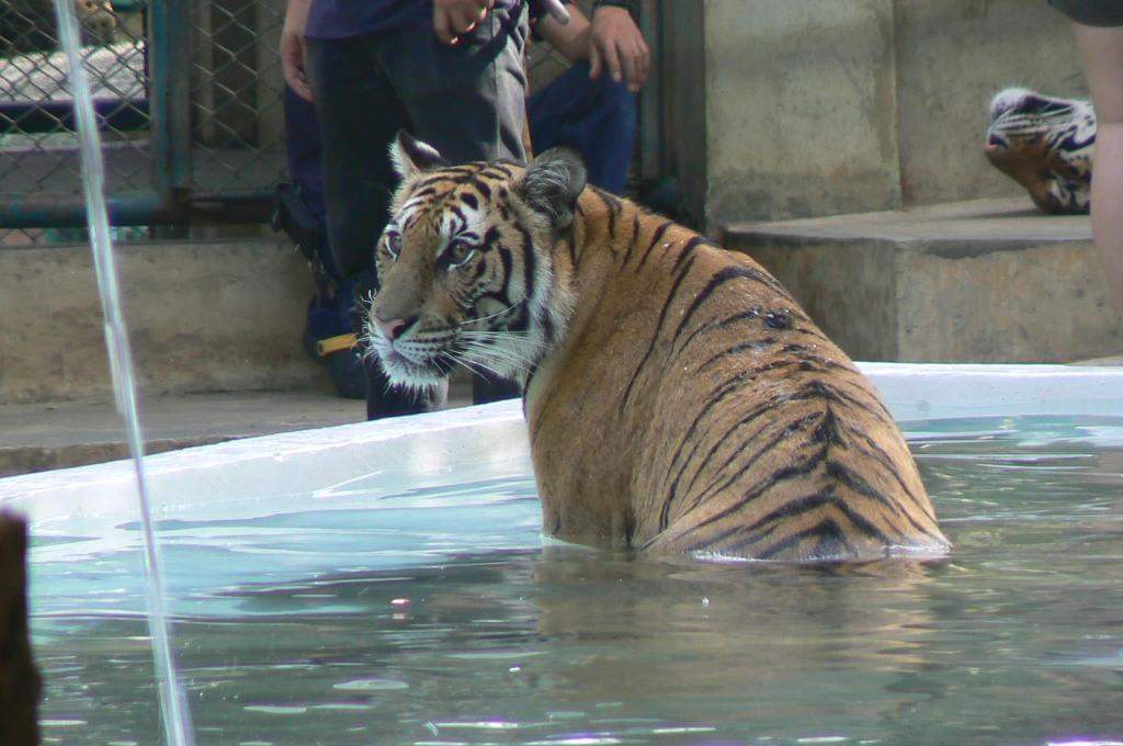 ai1012.photobucket.com_albums_af243_emar37_Facebook_Pas_20dos_abd3568c44bdebfe8b8338325b729731.jpg
