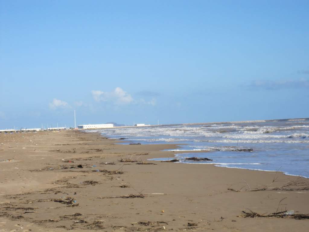 ai1016.photobucket.com_albums_af282_jcarlos76_IMG_1354.jpg