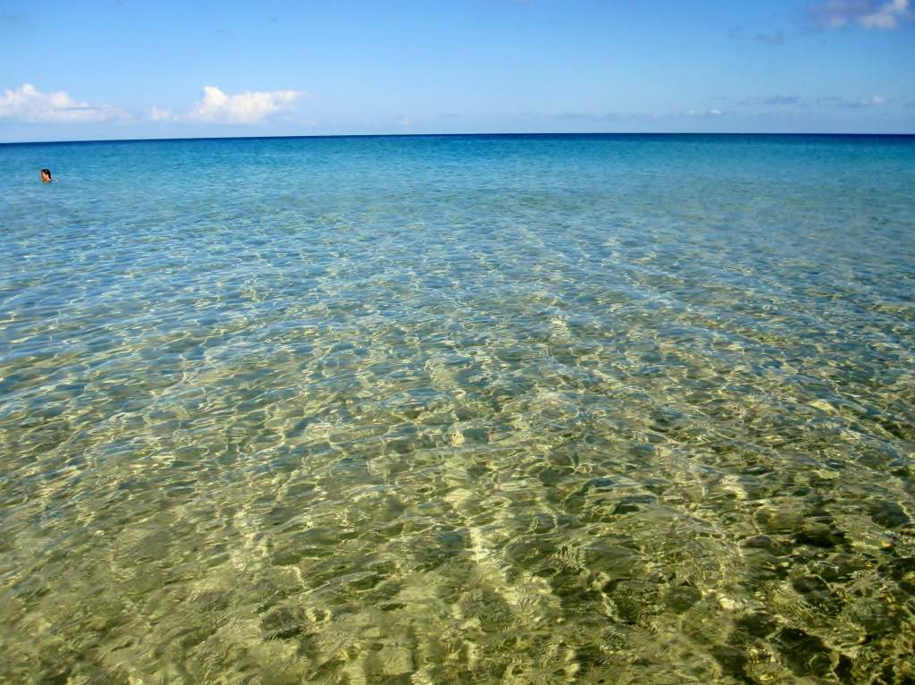 ai1016.photobucket.com_albums_af282_jcarlos76_IMG_8163.jpg
