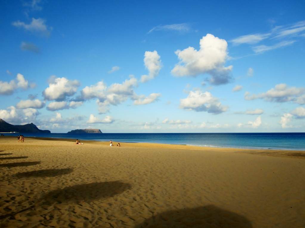 ai1016.photobucket.com_albums_af282_jcarlos76_IMG_8175.jpg