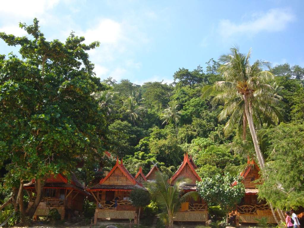 ai1037.photobucket.com_albums_a460_daguca_thailand_DSC05901.jpg