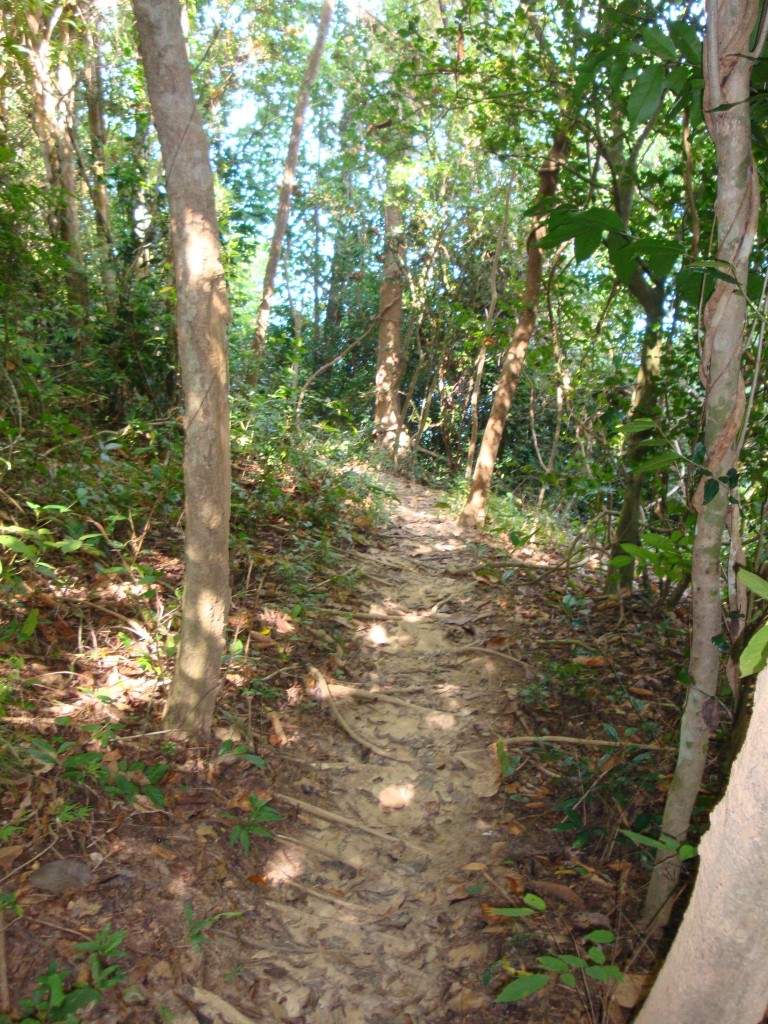 ai1037.photobucket.com_albums_a460_daguca_thailand_DSC05987.jpg