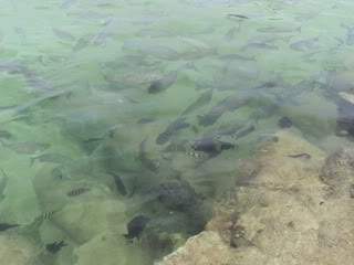 ai1042.photobucket.com_albums_b425_klaudete7_DSC02795.jpg