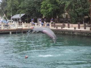 ai1042.photobucket.com_albums_b425_klaudete7_DSC03314.jpg