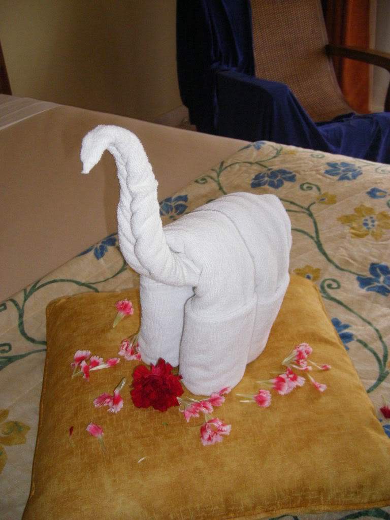 ai1042.photobucket.com_albums_b427_dinag1_225.jpg