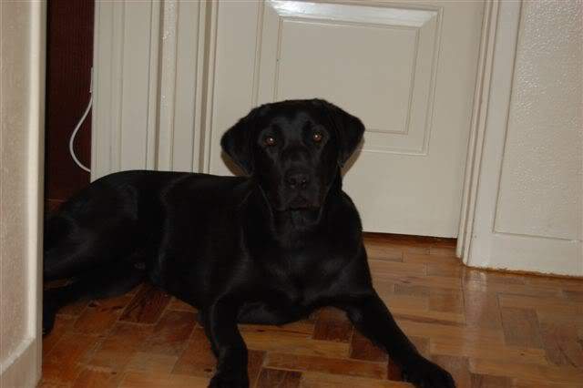 ai105.photobucket.com_albums_m219_bnuno40_13_05_2007_DSC_2466.jpg