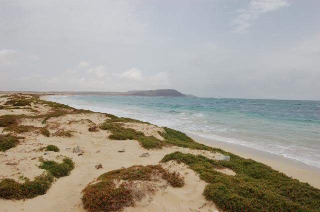 ai105.photobucket.com_albums_m219_bnuno40_Cabo_20verde_DSC_2847.jpg