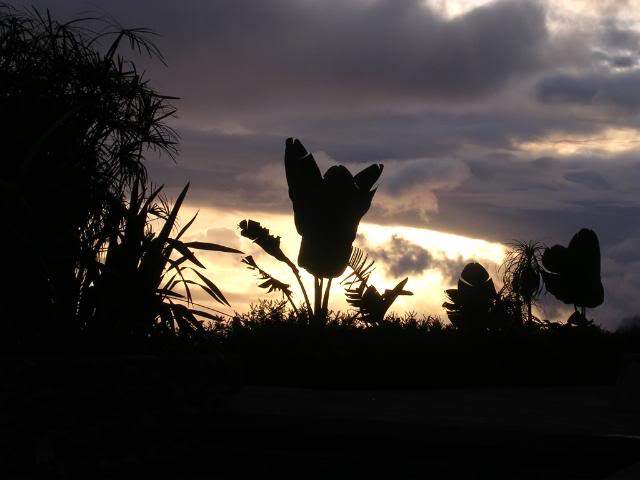 ai105.photobucket.com_albums_m219_bnuno40_Choupana_DSCN0819.jpg
