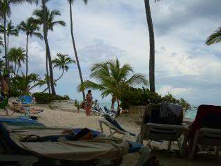 ai105.photobucket.com_albums_m219_bnuno40_DSCN3791.jpg