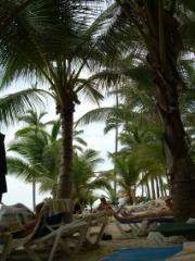 ai105.photobucket.com_albums_m219_bnuno40_DSCN3792.jpg