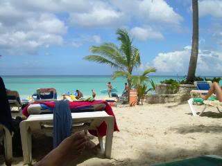 ai105.photobucket.com_albums_m219_bnuno40_DSCN3900.jpg