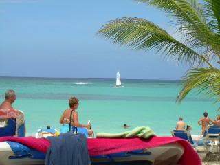 ai105.photobucket.com_albums_m219_bnuno40_DSCN3906.jpg