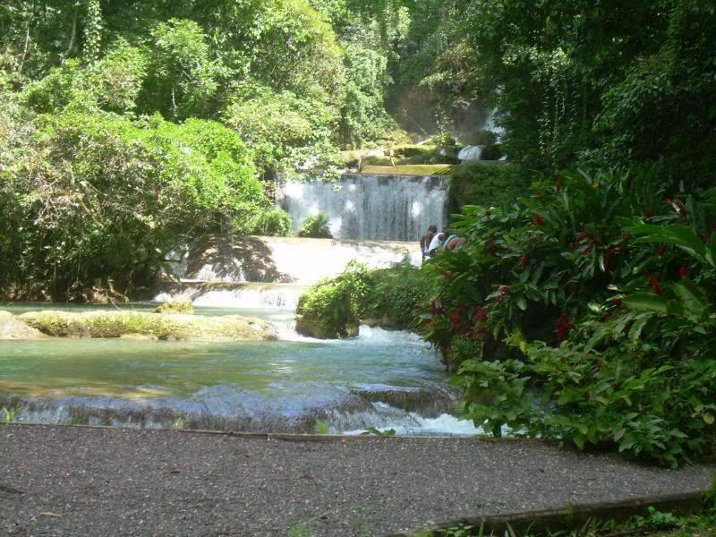 ai105.photobucket.com_albums_m219_bnuno40_Jamaica_202009_57.jpg