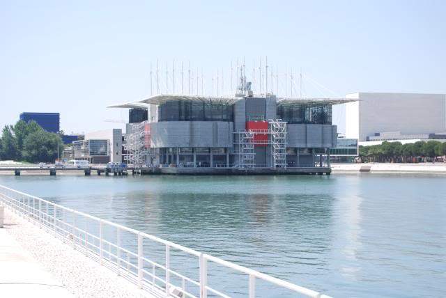 ai105.photobucket.com_albums_m219_bnuno40_Oceanario_202009_DSC_0010.jpg