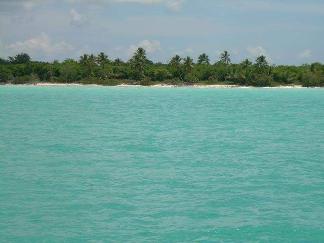 ai105.photobucket.com_albums_m219_bnuno40_Saona_DSCN3741.jpg