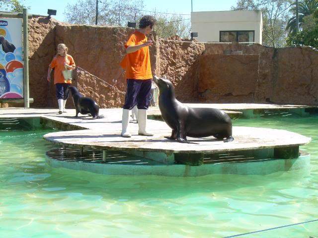 ai105.photobucket.com_albums_m219_bnuno40_Zoo_DSCN2605.jpg