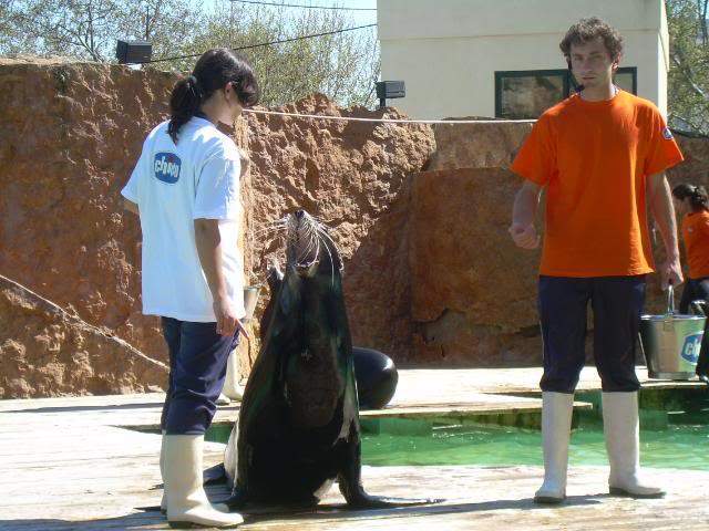 ai105.photobucket.com_albums_m219_bnuno40_Zoo_DSCN2607.jpg