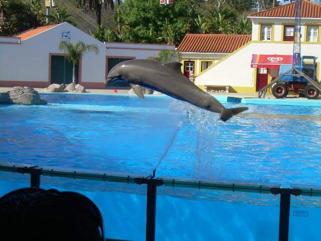 ai105.photobucket.com_albums_m219_bnuno40_Zoo_DSCN2615.jpg