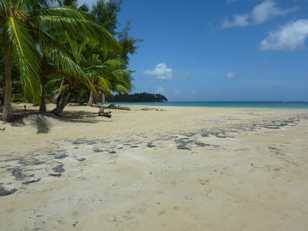ai1051.photobucket.com_albums_s425_acristina1_Samana_202012_20Report_22PraiaEP.jpg