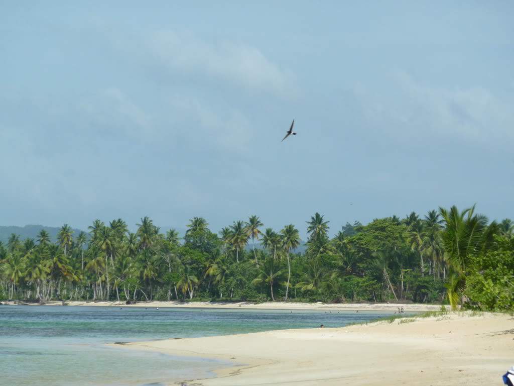 ai1051.photobucket.com_albums_s425_acristina1_Samana_202012_20Report_26PraiaEP.jpg