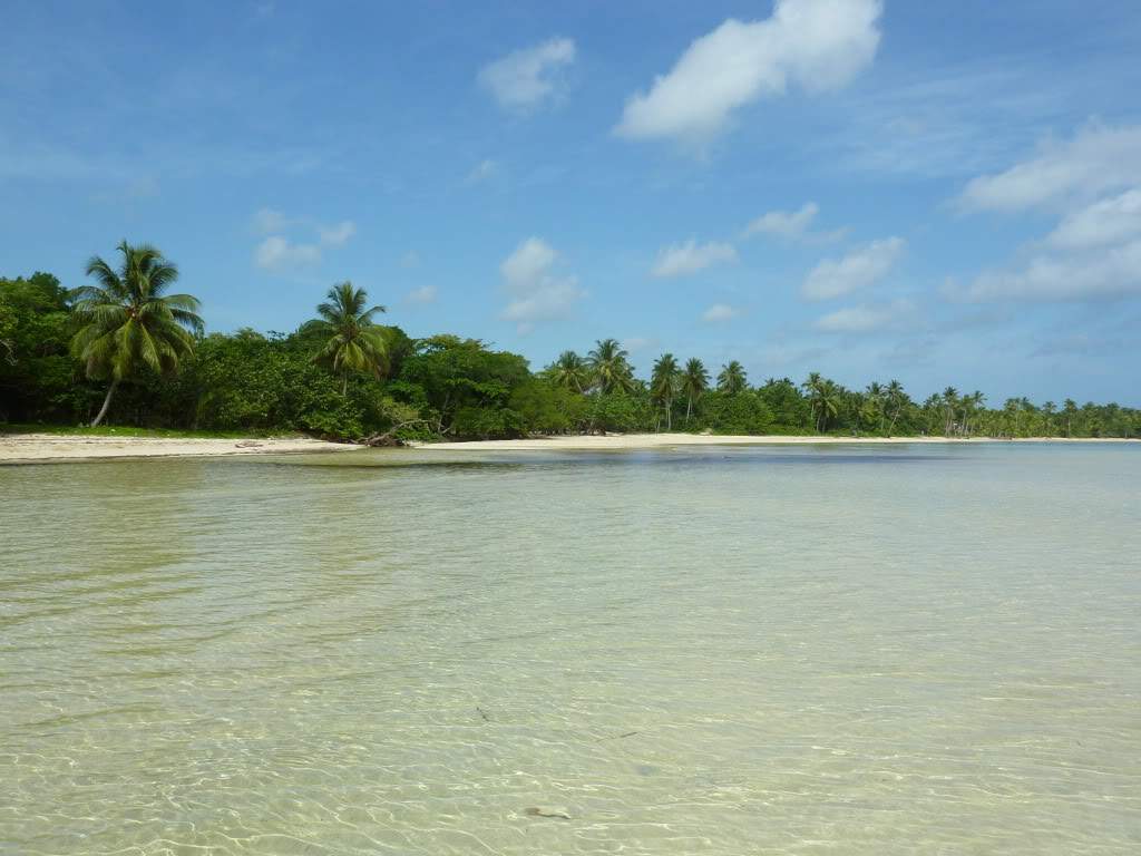 ai1051.photobucket.com_albums_s425_acristina1_Samana_202012_20Report_32PraiaEP.jpg