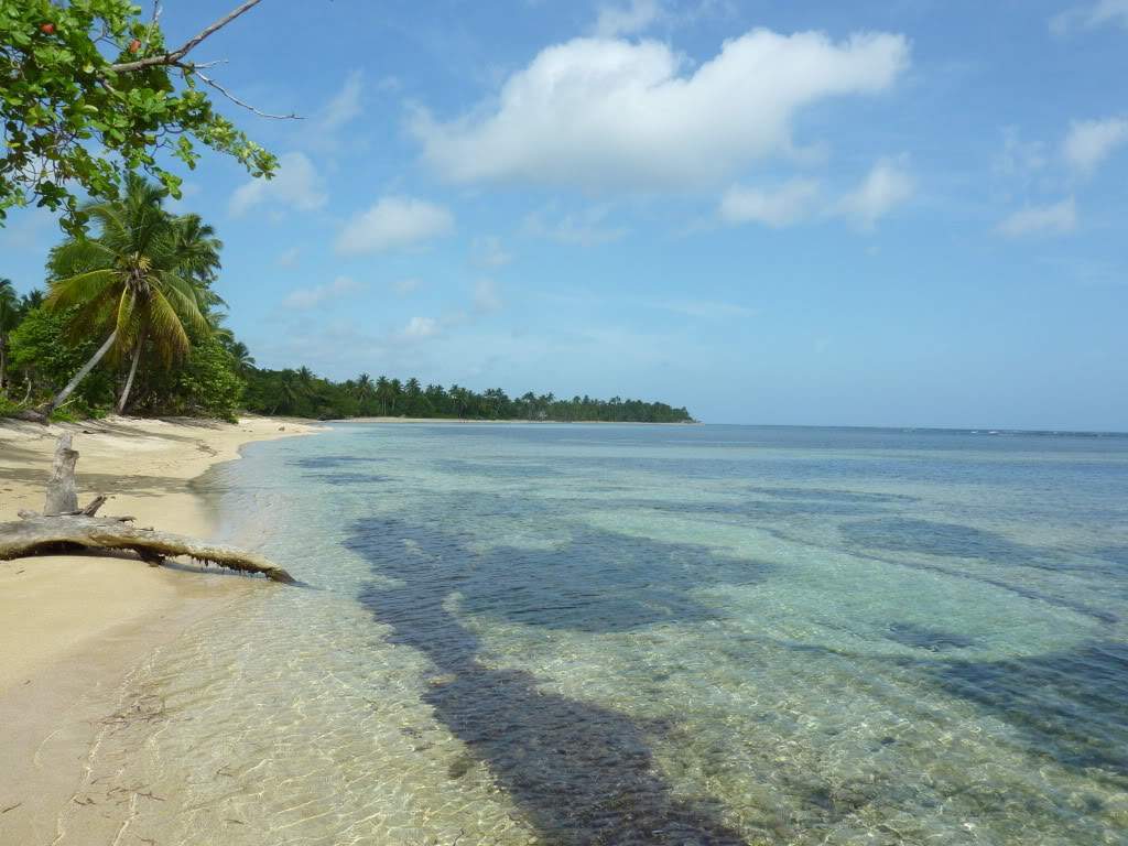 ai1051.photobucket.com_albums_s425_acristina1_Samana_202012_20Report_35PraiaEPdta.jpg